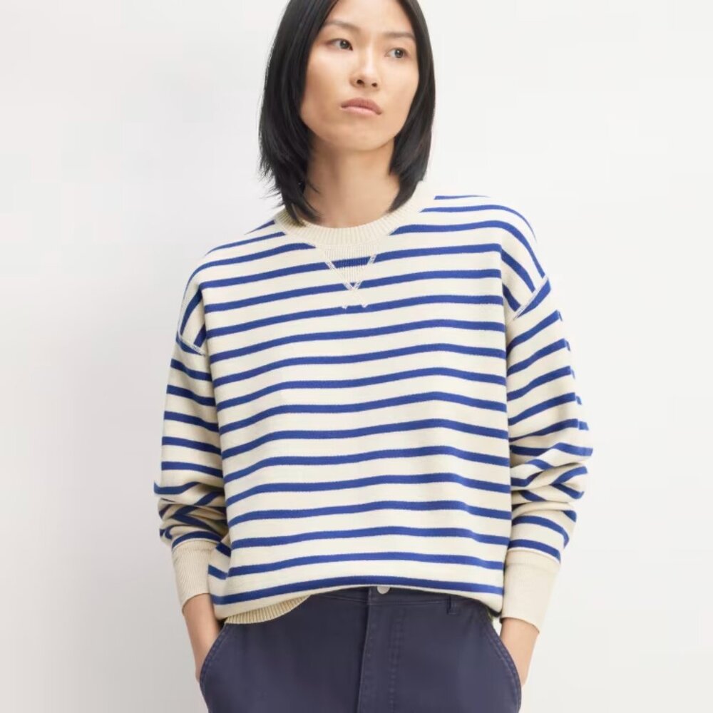 Everlane Navy and Cream Striped Sweater